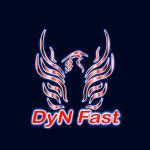 Dyn Fast Multiservicios