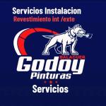 Balaguer Godoy