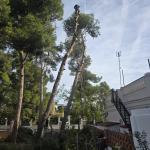 Cándido Argueta Alvarado