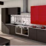 Julian Reformas Camilo