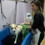 La Perrukeria Casasbuenas