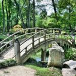 Arpa Paisajismo Y Arboricultura