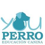 Youperro Educación