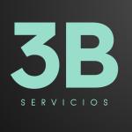 3b