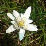 Maria Martinez Tudela