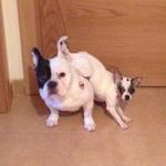 Cristina De Las Morenas