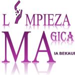 Limpieza Mágica Mb
