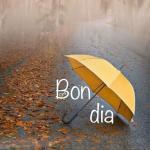 Pilar Domenech Lloveras