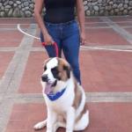 Yaddy Johana Hernandez Rincon
