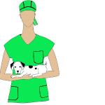 Clinica Veterinaria Alonso Martinez