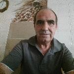 Vicente Fábregas Valls