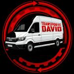 Danut Horatiu Andrei