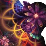 Access Consciousness Barras