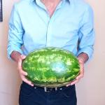 Bronny Loayza Alvarado