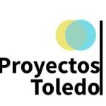 Miguel Proyectos Toledo