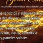Ant  Elec
