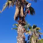 Marcos Andrés Palma