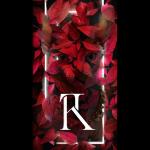 Kata Tattoo Artist Body Piercer