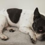 Sara Garcia Ruano Ruano