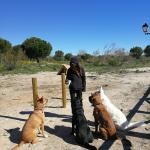 Candela Bienestar Animal