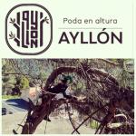 Ayllón Podas En Altura