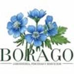 Borago Jardinería