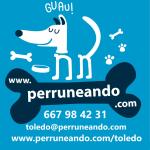 Perruneando Toledo Perruneando Toledo