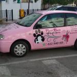 Purepaws Marbella  Peluquería Canina