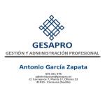 Gesapro