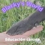Blackys World  Olga