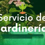 Buttervorthservicejardineria