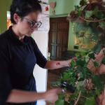 Ughetta  Ughy Yozakura Sanna