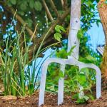 Desbroce De Parcelas Poda Talado De Árboles Y Mantenimiento De Jardines