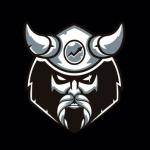 Vikingseo  Diseño Web Y Marketing Digital