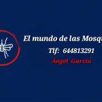 El Mundo De Las Mosquiteras