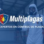 Multiplagas