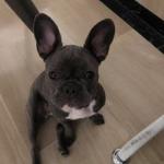 Jacinto