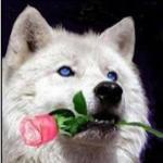 Elinor Villanueva Heinrichs