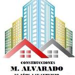 Marco  Alvarado