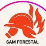 Sam Forestal